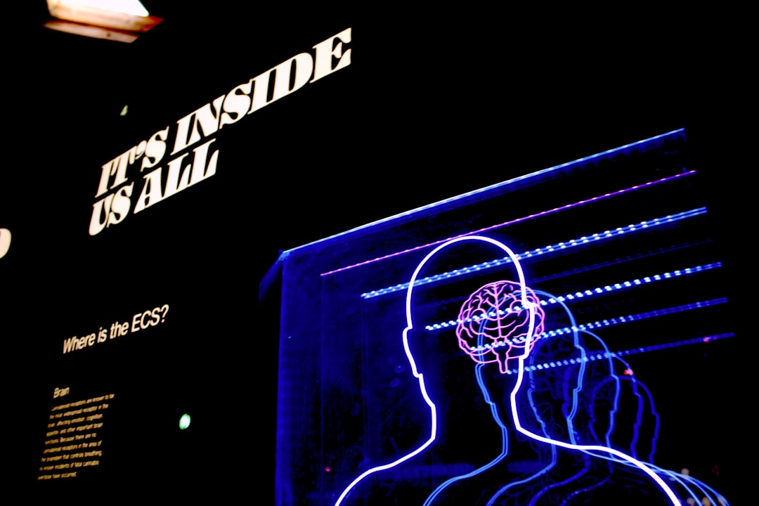 a neon display of a mans head and brain